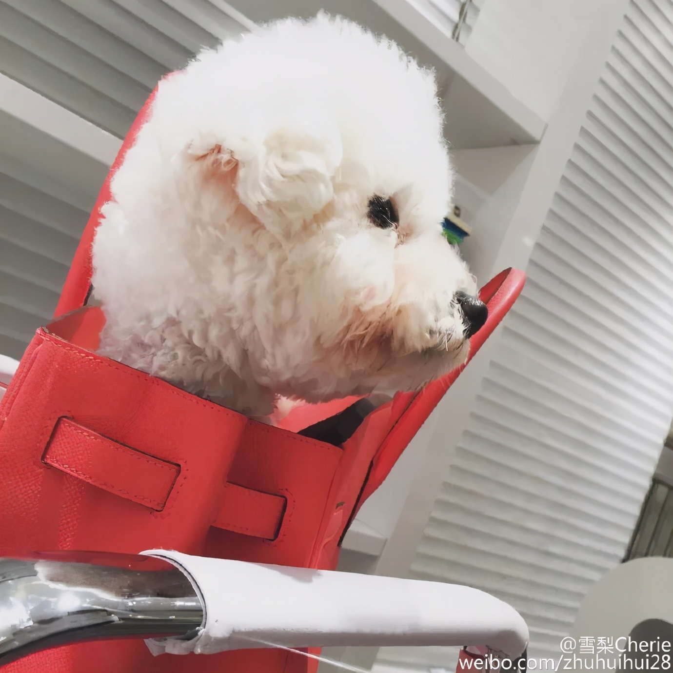 早期淘宝出名的淘宝模特,有哪些明星是淘宝模特出身