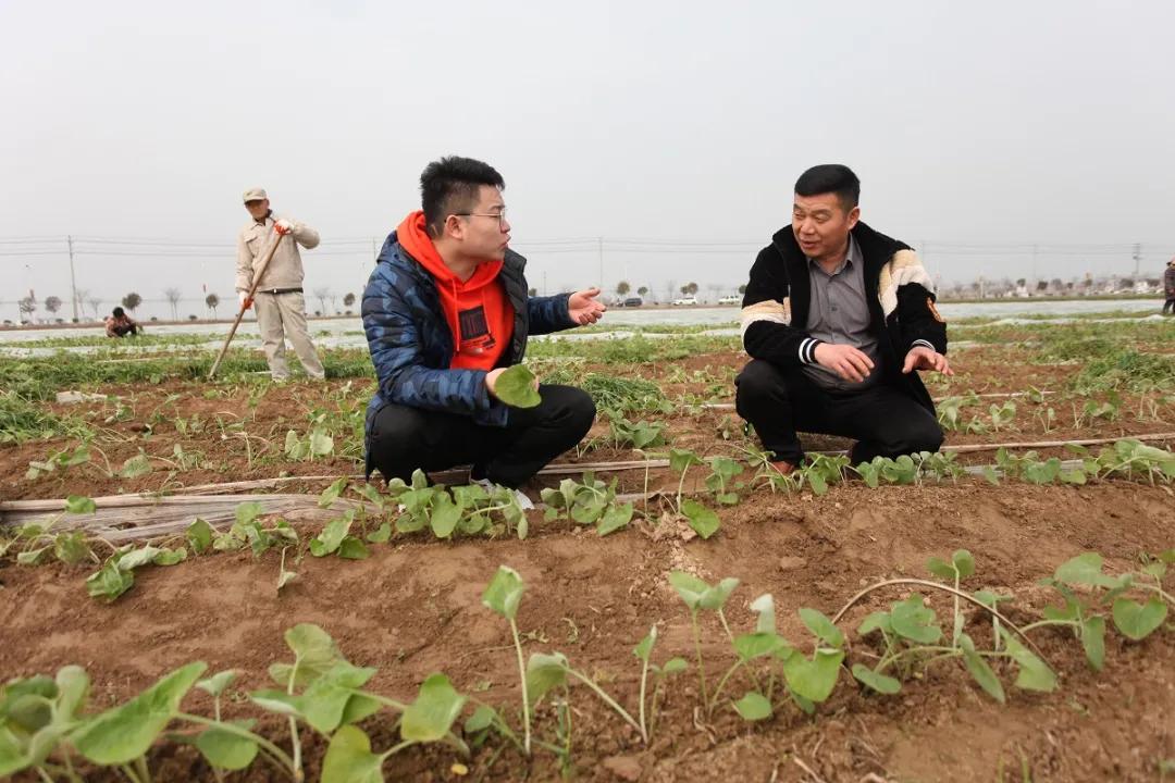 鐗涜挕绉嶆姣忎憨鏀跺叆,濡備綍鎸叴鐗涜挕浜т笟淇冭繘鍐滄皯澧炴敹