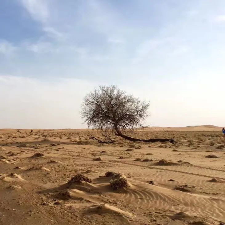 抖音做完酒店，又开始做旅行社“*梦春**”
