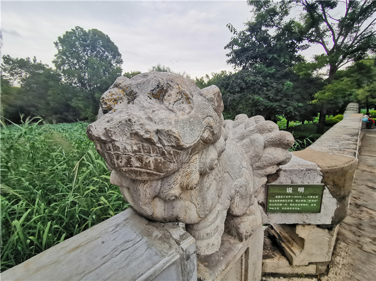 昆明最火网红打卡景点免费的,昆明免费的旅游景点大全推荐一下