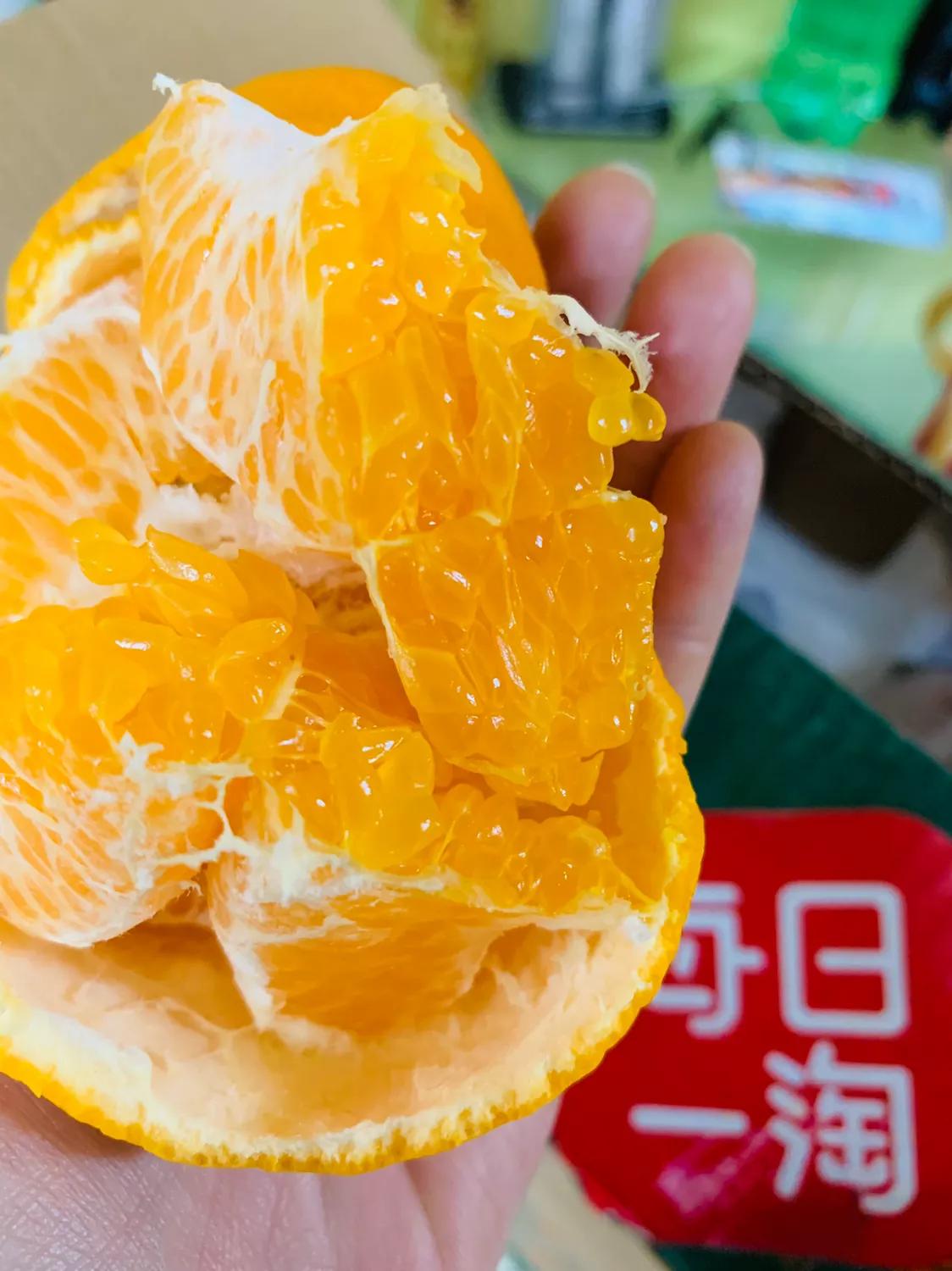 天天蔬果,天天蔬果新消息