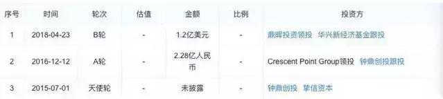 中国最大的微商公司有哪些,国内第一微商巨头