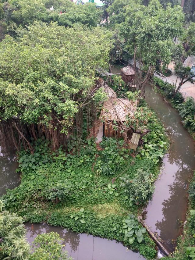 广州番禺区长隆野生动物世界缆车,广州旅游长隆野生动物世界