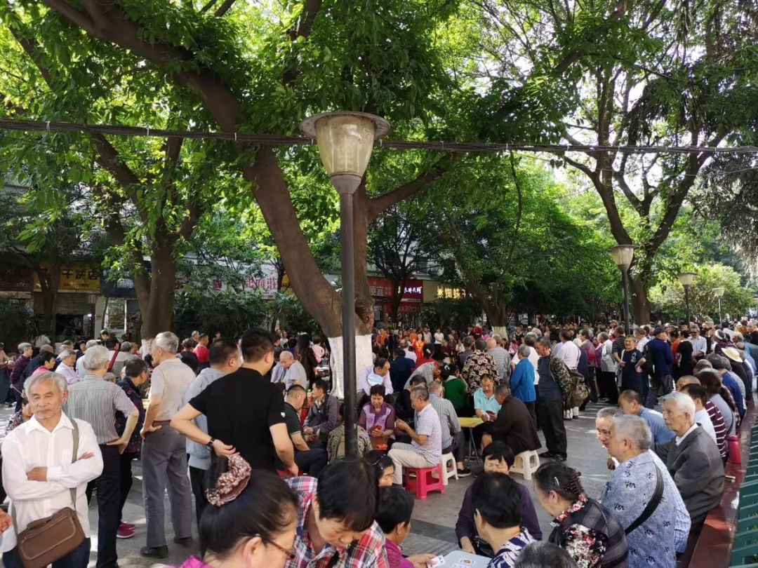 李家沱未来发展潜力大吗,李家沱要什么时候才能发展起来