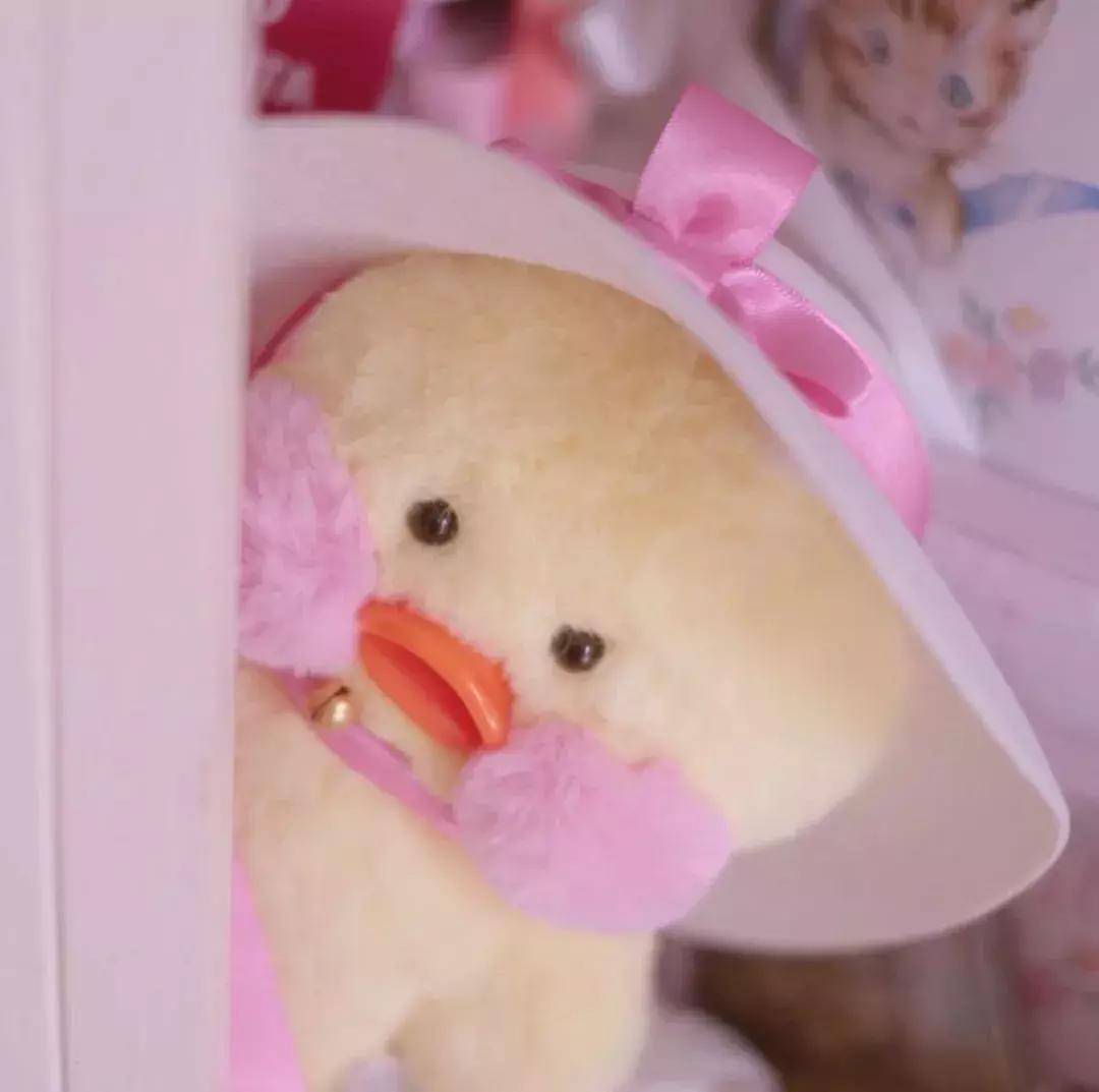 36张网红玻尿酸鸭头像图：遇见就好了，余生就算了