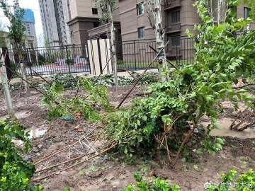 天津富力能不能交房,开发商必须让交钱才能验房