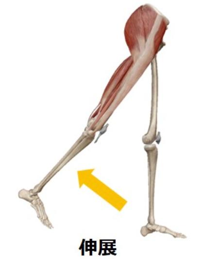 游泳背部会酸痛,游泳腰背疼怎么治