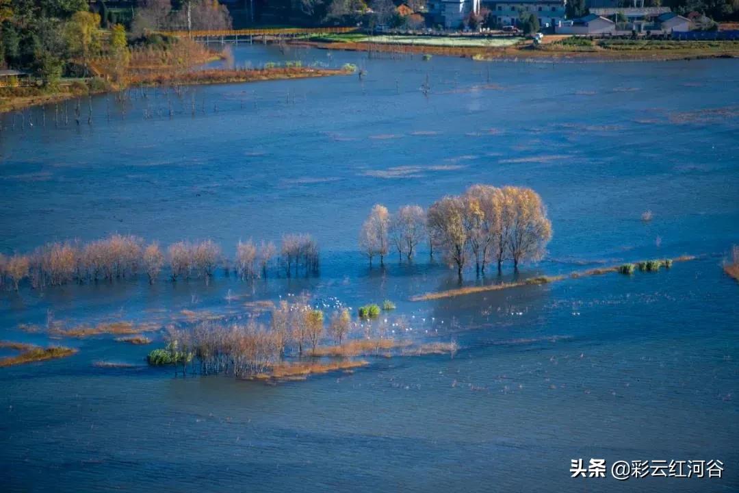 中国云南哪里好看,云南的云彩为什么好看