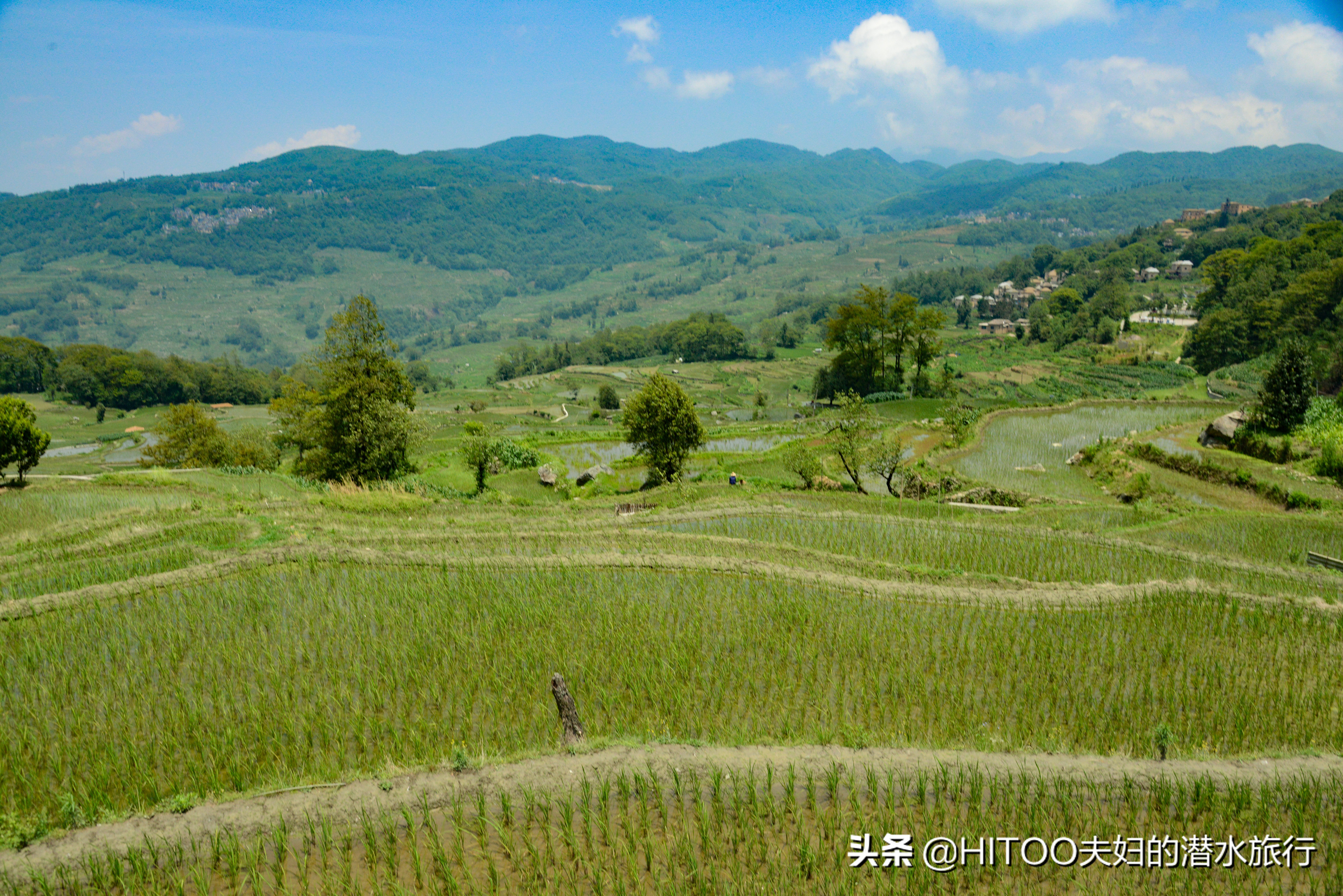自驾元阳梯田旅游攻略时间,元阳梯田自驾游玩攻略路线
