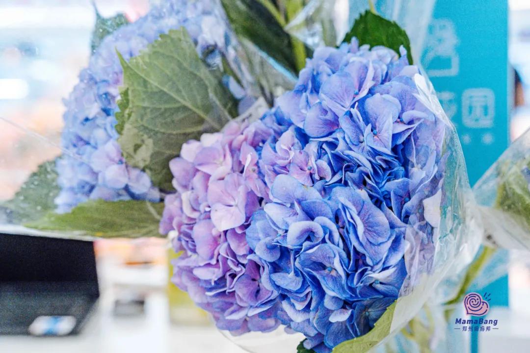 盒马鲜生攻略肉类,盒马鲜生哪些东西值得买