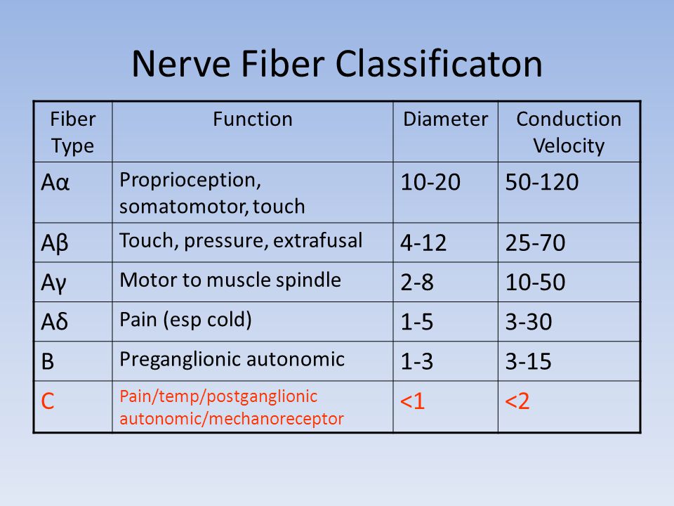 吃辣椒为什么会上火“菊花疼”？有人籍此拿到诺贝尔奖？太简单？