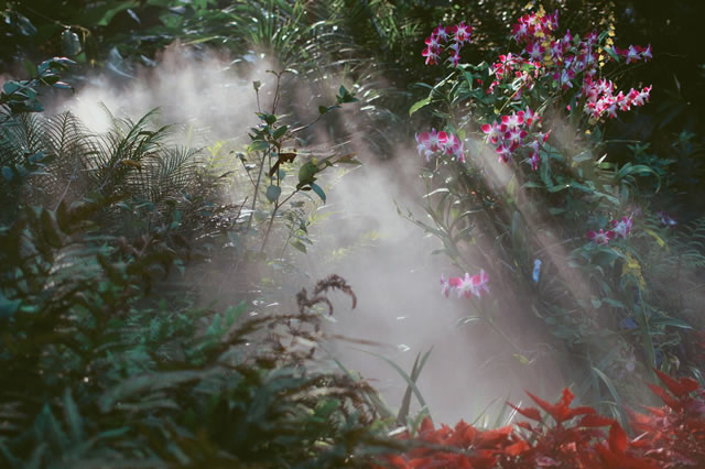 厦门五一旅行景点排名前十大,厦门旅游十大必去景点2021自由行