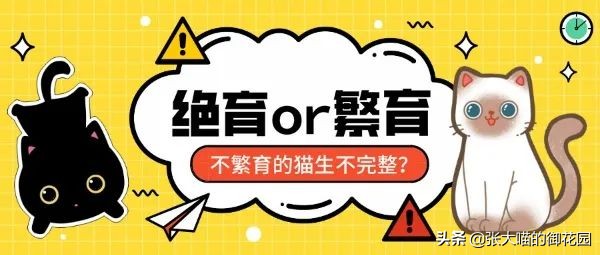 猫咪生过小猫还要绝育吗,为什么不建议猫生一窝再绝育