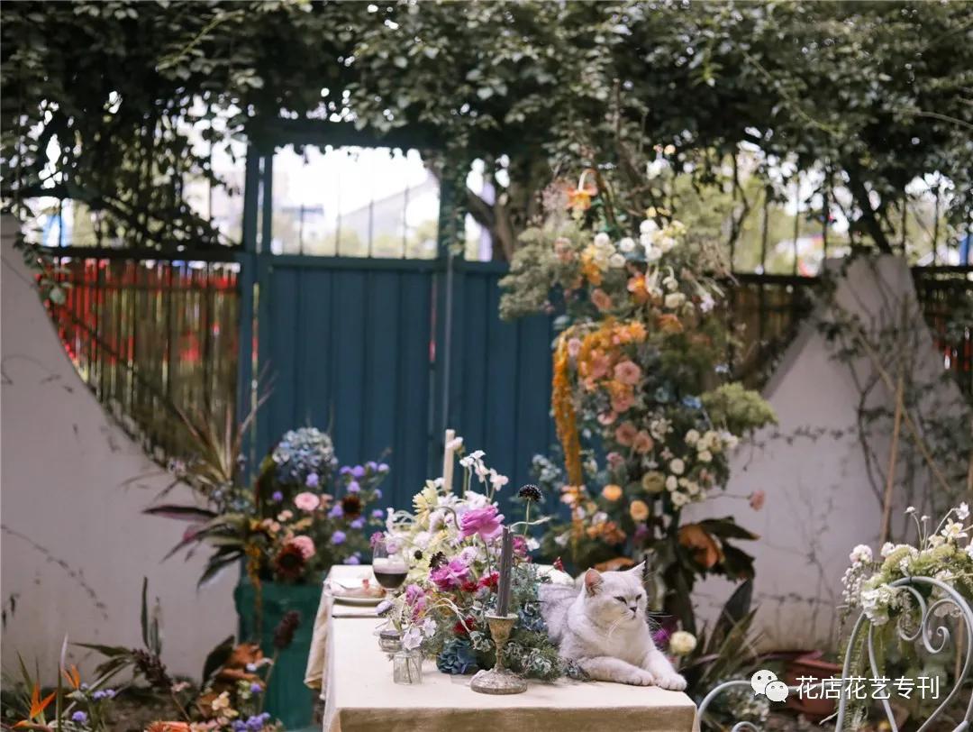 深圳TaleFlora：在花园里授课，做有灵魂的设计