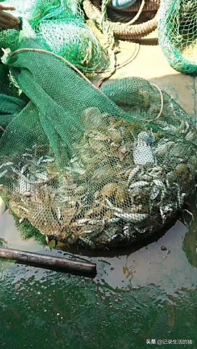 周末北京出发吃海鲜,北京自助游最好去哪儿吃海鲜