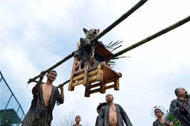 贵州用镰刀剃头的原始部落,偷南瓜是在哪里