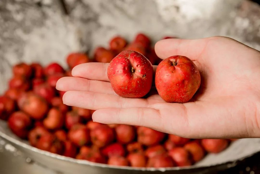 Foodie君亲测,专注19年现炒栗子的粒上皇,名不虚传!
