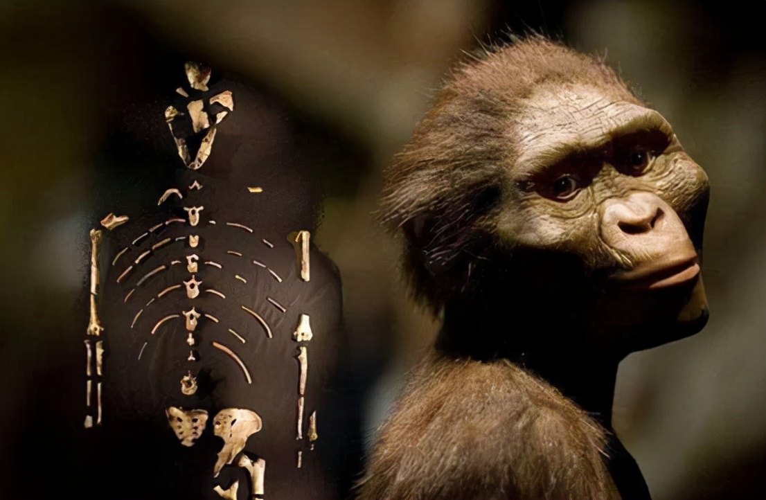 只有女人才能怀孕,只有女人会生孩子吗