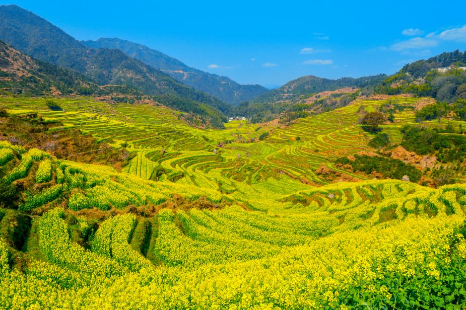 樱花烂漫时汉服少女,樱花烂漫时相遇