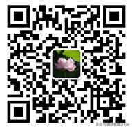 心肾不交失眠按什么穴位图,心肾不交失眠艾灸穴位