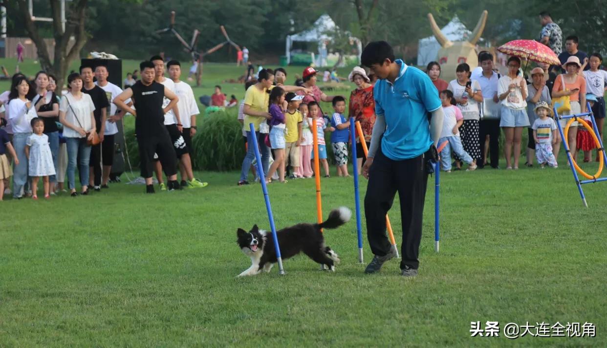 大连三观寰牧场坐车攻略,大连三寰牧场草原视频