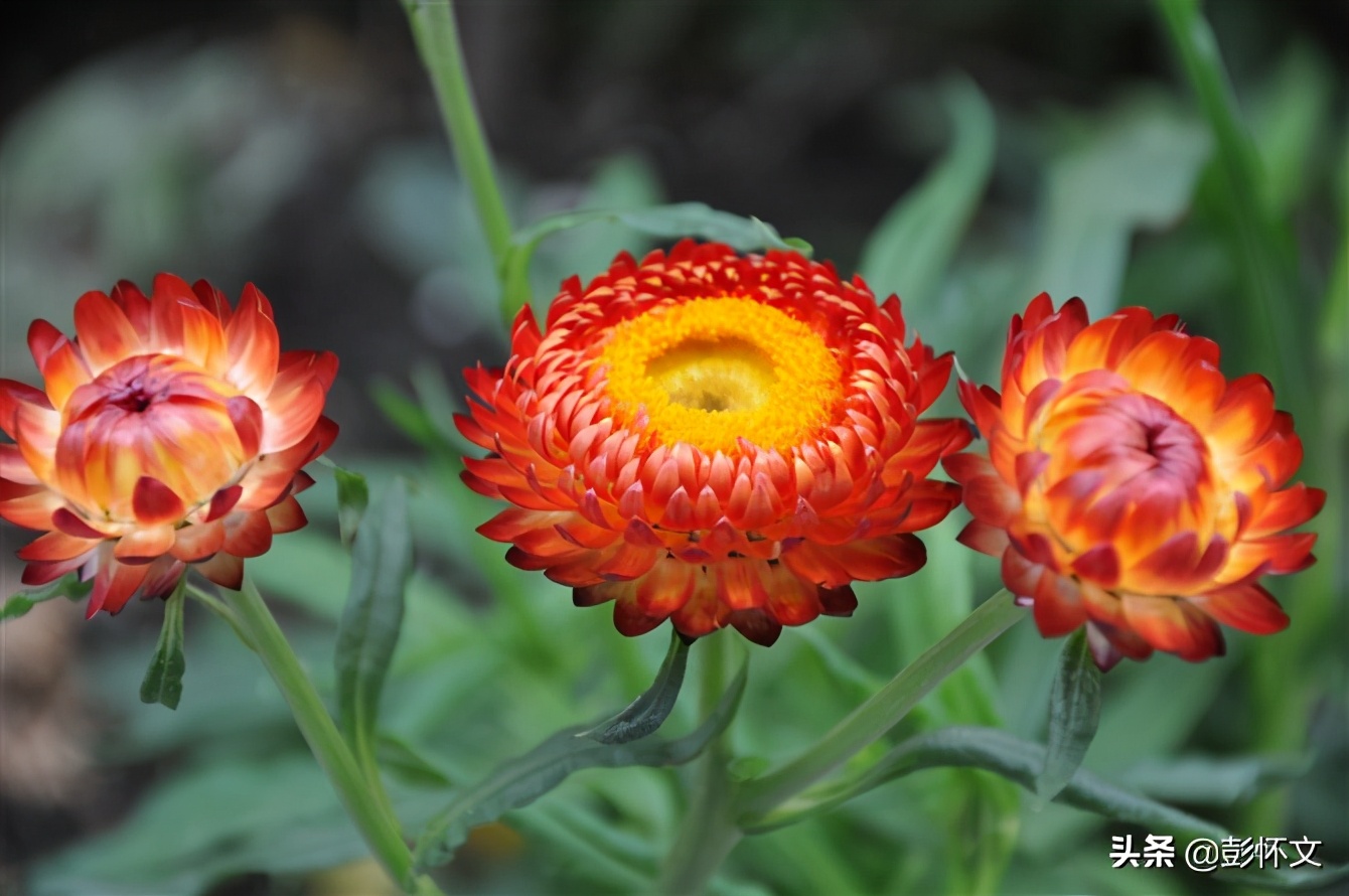 介绍人费用一般怎么入账,介绍人返佣金扣税标准