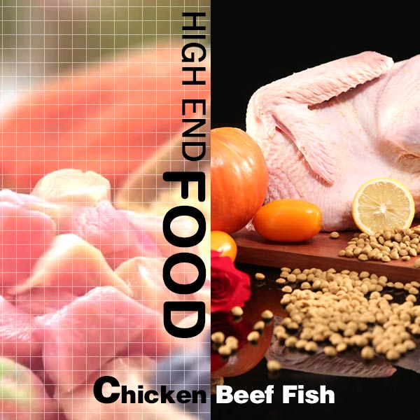 我家泰迪狗狗不爱吃狗粮怎么办,我家泰迪最近不吃狗粮怎么办啊