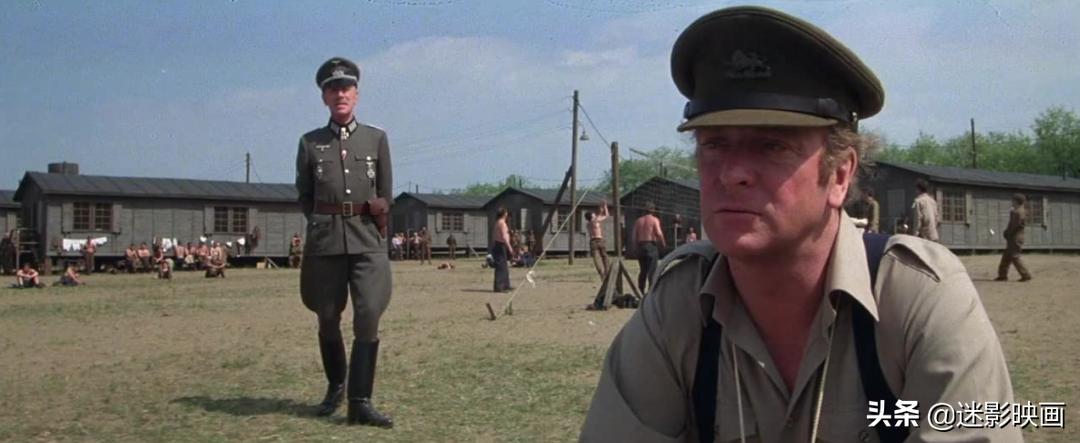 贝利史泰龙主演的电影,贝利和史泰龙合作的电影