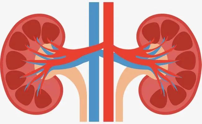 防范尿毒症的方法,远离肾脏病8项黄金法则