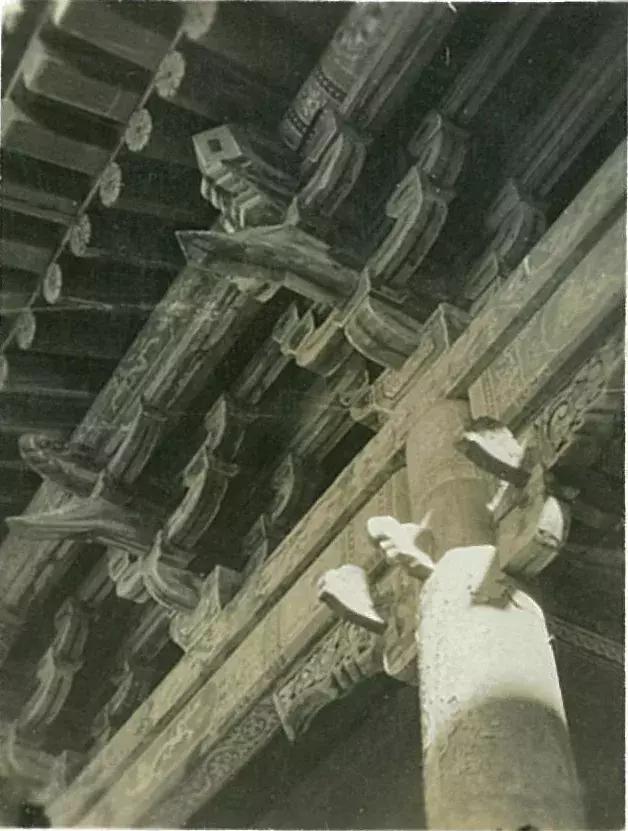 你可能没见过的姓氏,你可能没见过的日语