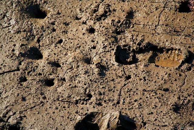 涓婃捣绂捐崳鍐滀笟绉戞妧,涓婃捣绂捐崳鍐滀笟绉戞妧鏈夐檺鍏徃鑲℃潈