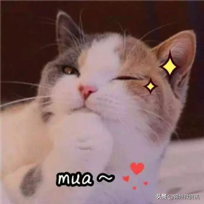 锦州渤海大学！全国最美大学之一！新入学的同学想知道的都在这里