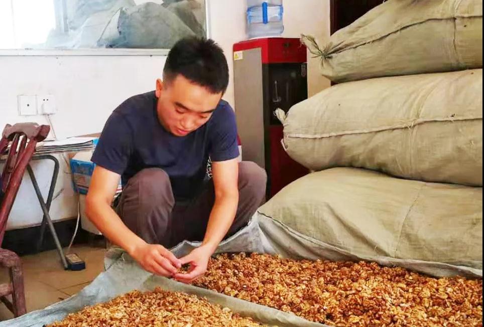 「丹凤电商扶贫」诚信赢得天下客——电商小伙伴巩磊创业侧记