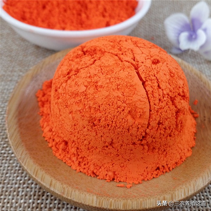 兽医脓疮,兽医治疗化脓