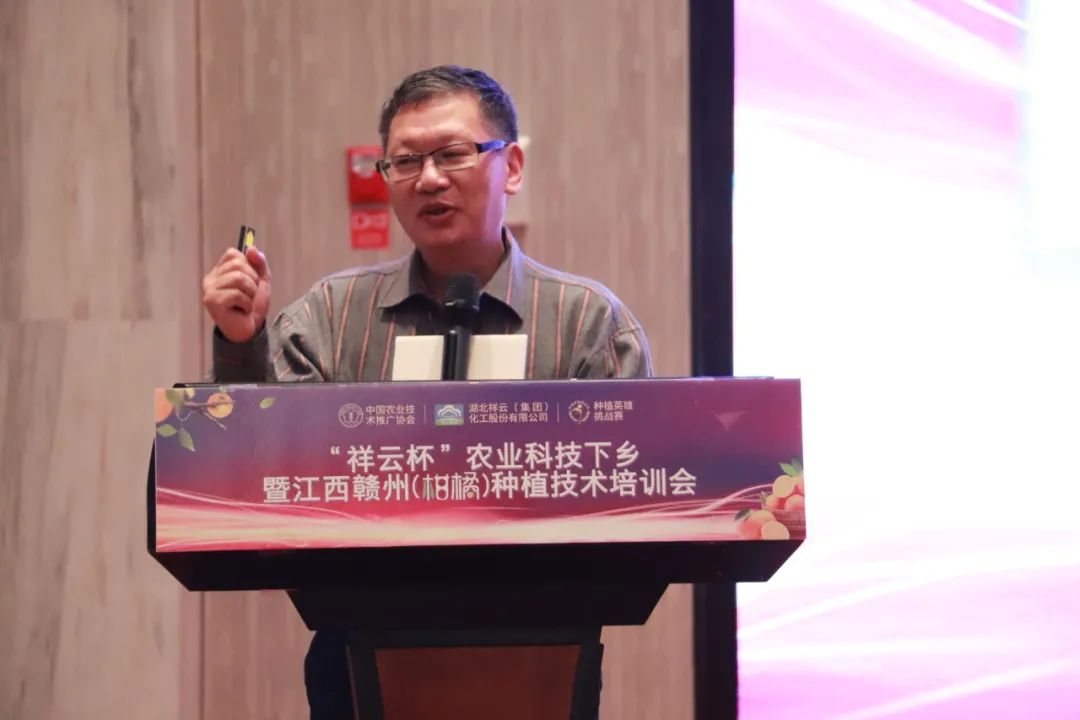 祥云杯武穴第二届创新创业大赛,祥云杯科技