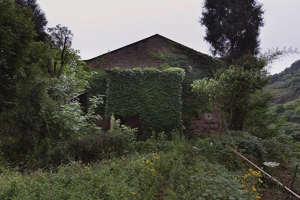 渝北枇杷正黄，冒冒失失穿越铁壁、胜保、斗碗三寨