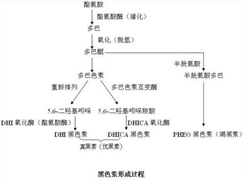比较深的痘印怎么消除,坑坑洼洼的痘印红血丝怎么消除