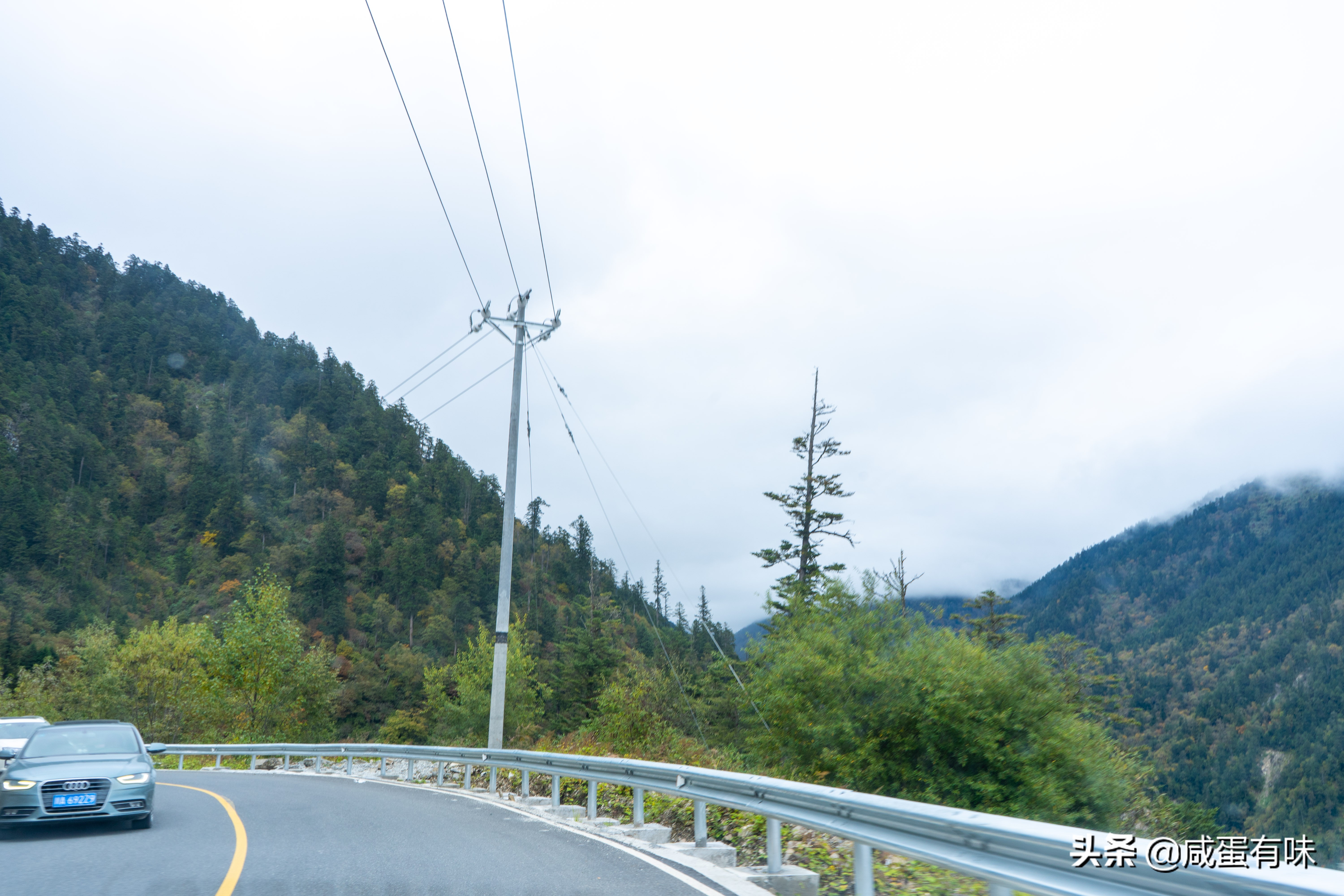 你好，夹金山：让我遇见不一样的你