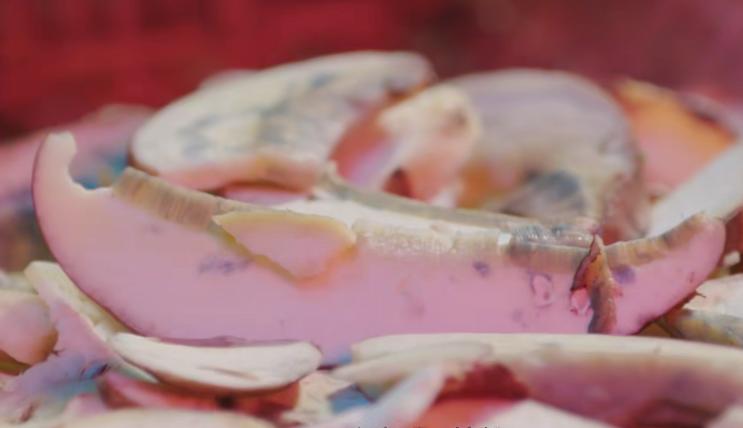 野生菌的毒是什么毒,野生菌属于毒品吗