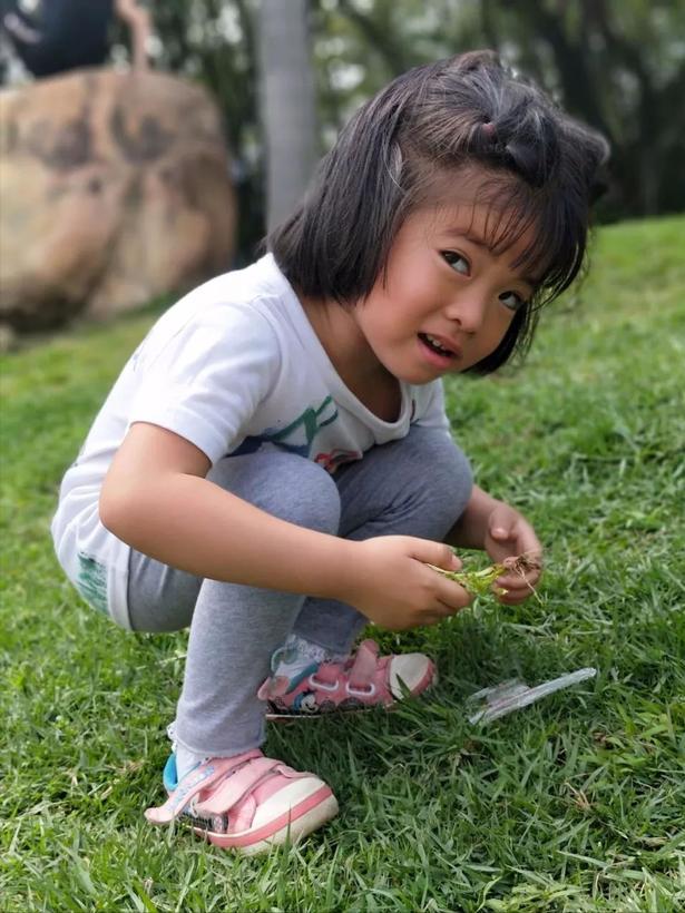 深圳海上田园一日游,深圳宝安海上田园风景