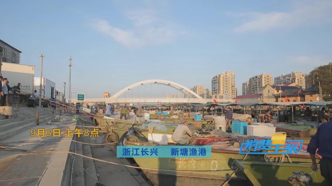 直击太湖开湖现场！鲜美湖鲜大量上市，资深吃货准备好了吗？