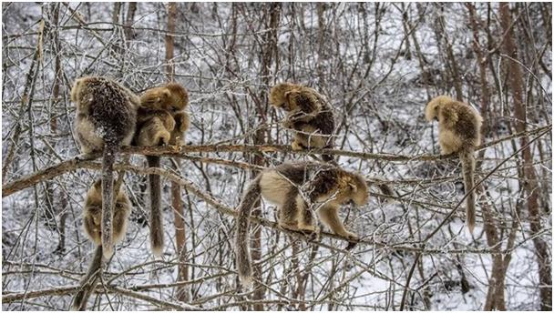 去神农架旅游攻略3天2晚,郑州到神农架自驾游最佳路线攻略