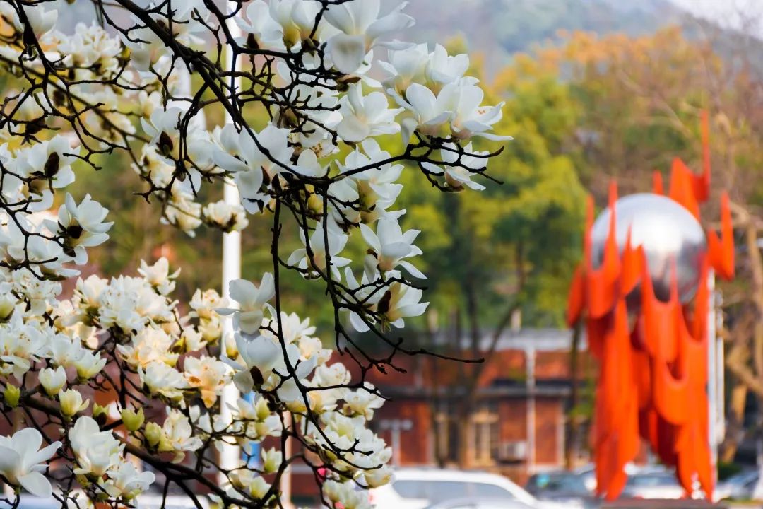 高考中南大学,高考结束来看看学生们的分数