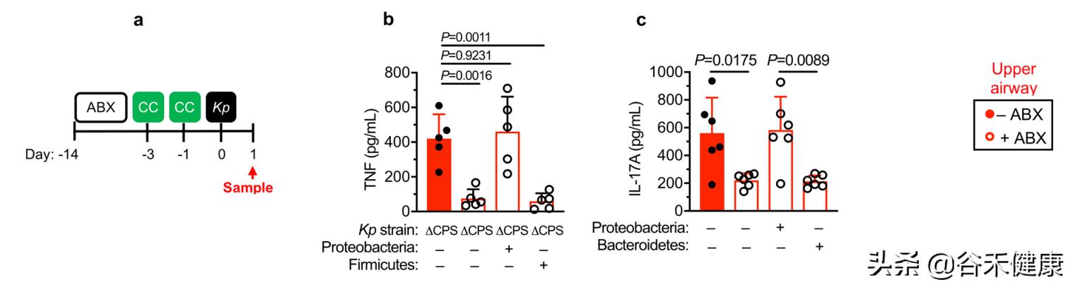 探索微生物奥秘演讲,微生物菌剂探索