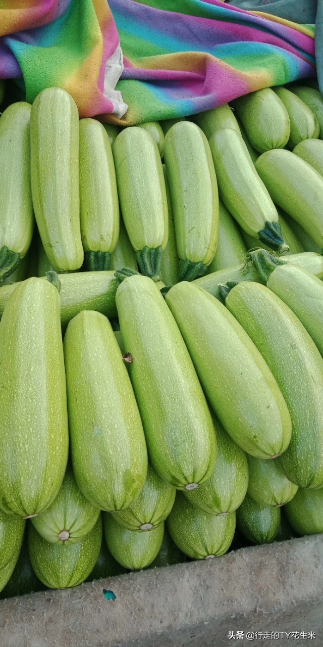 西安欣桥蔬菜批发市场菜价2019,西安欣桥蔬菜批发市场几点开始