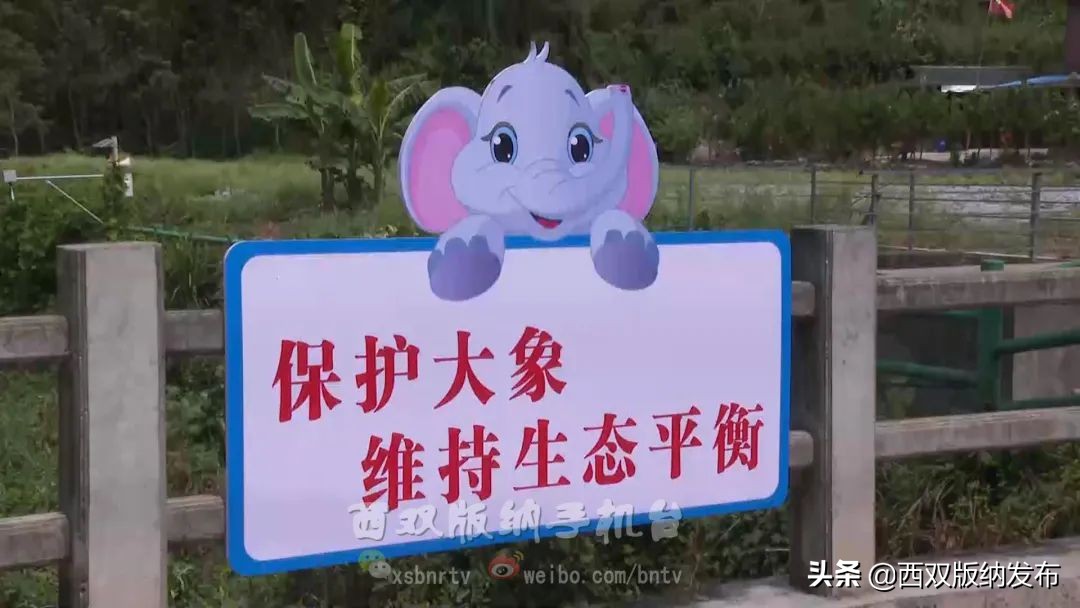 浜鸿薄鍜岃皭鍏卞,浜烘槸鎬庢牱涓庤嚜鐒跺拰璋愮浉澶勭殑浜嬩緥