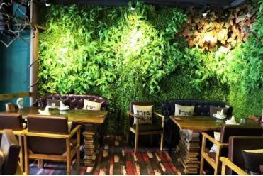 秦皇岛老大哥跟谁牵手成功,秦皇岛十大旋转餐厅