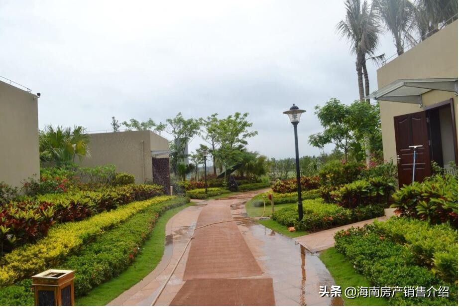 临高汇泽蓝海湾最新消息,海南汇泽蓝海湾最新消息