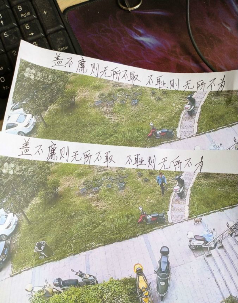 花园养的花被人偷去了好吗,养了几年的花被人偷了