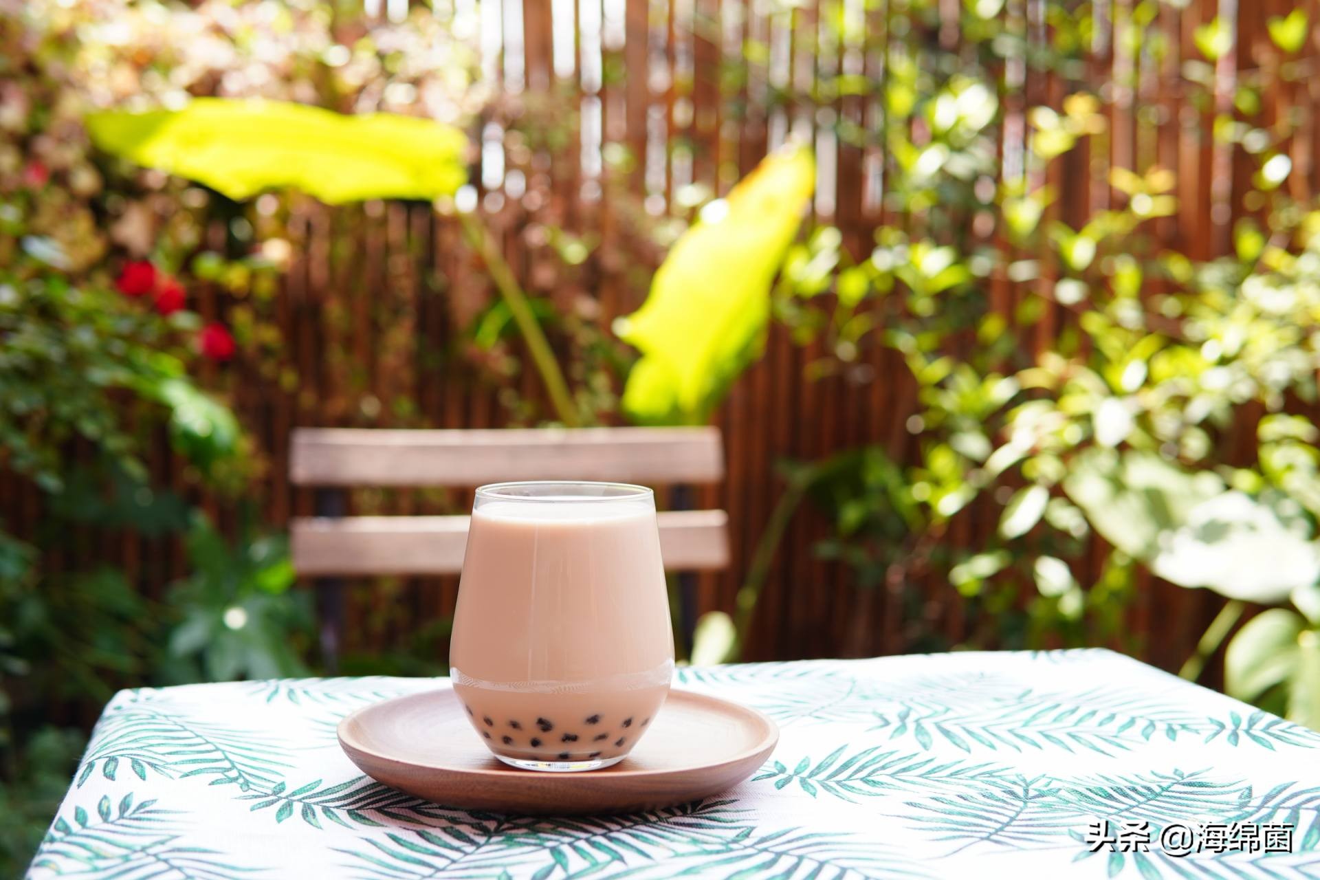 奶茶机到底是不是伪需求？热门款横评告诉你答案